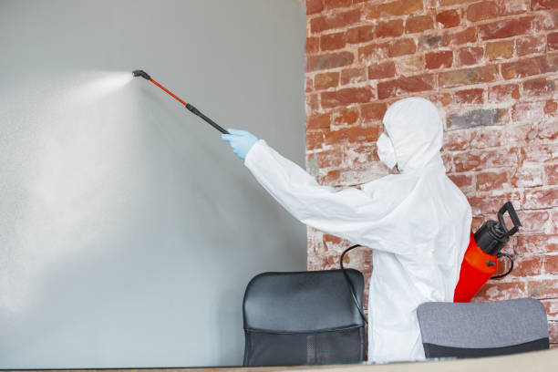 Mold Remediation for Vacation Homes in Escalon, CA