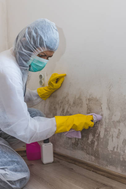 Best Biohazard Mold Removal  in Eslon, CA